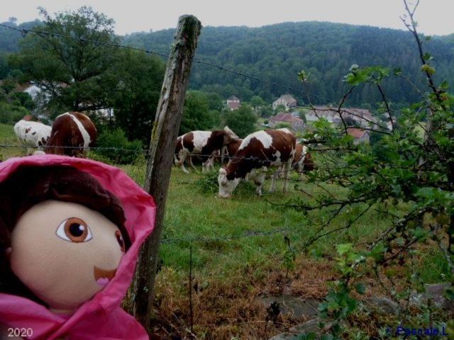 Gite Rural Les Maires D'Avaux Saint-Bresson ภายนอก รูปภาพ