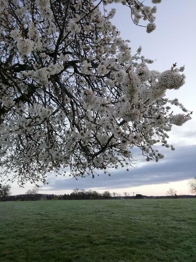 Gite Rural Les Maires D'Avaux Saint-Bresson ภายนอก รูปภาพ